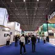 2023�����캣�ڹ������Ʒ����չ���ῪĻ