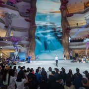 ���Ľ���������cdf���ڹ�����˰�����÷ֻ᳡