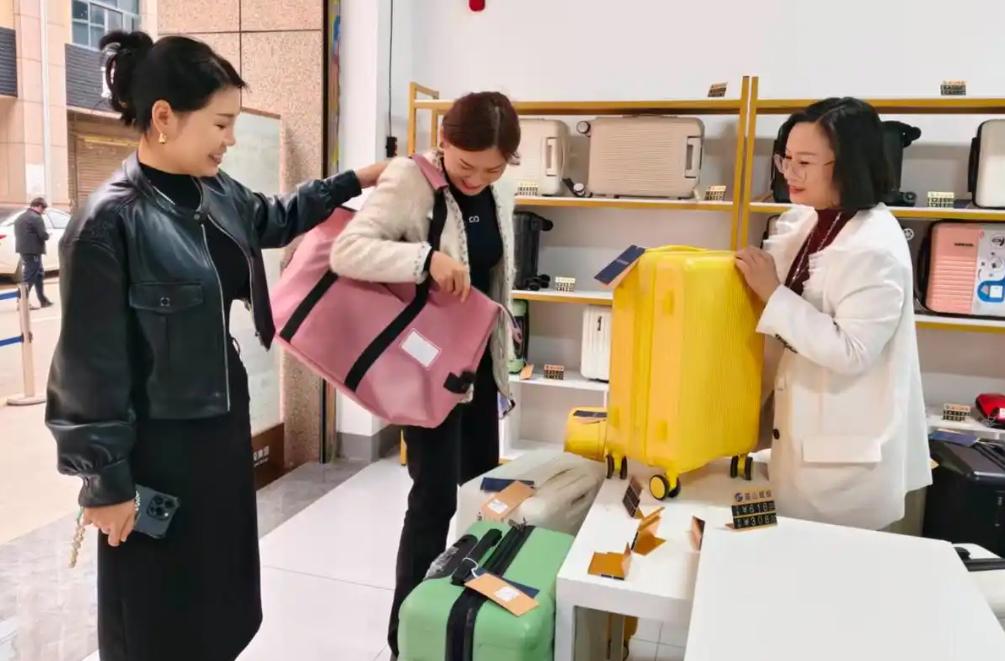 ������Ŀ�ĵ�������ݡ���ɽ����Ƥ�����������Բ�������Ļ