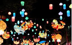 һ��Ԫ���ƻ���ĺ��ݻ�չ��ʵ��