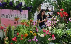 �ڶ�ʮ�˽��й����ʻ���԰��չ�������й�����չ������