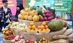 �ⳡ������ɽ�˵Ĺ���ʢ�Ὣ��2026��5��20-26�տ�չ