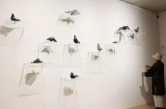 ������Ӧ��������������˹�񻶡�չ�����Ϻ�����������
