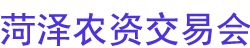 2024ʮйũʽ׻