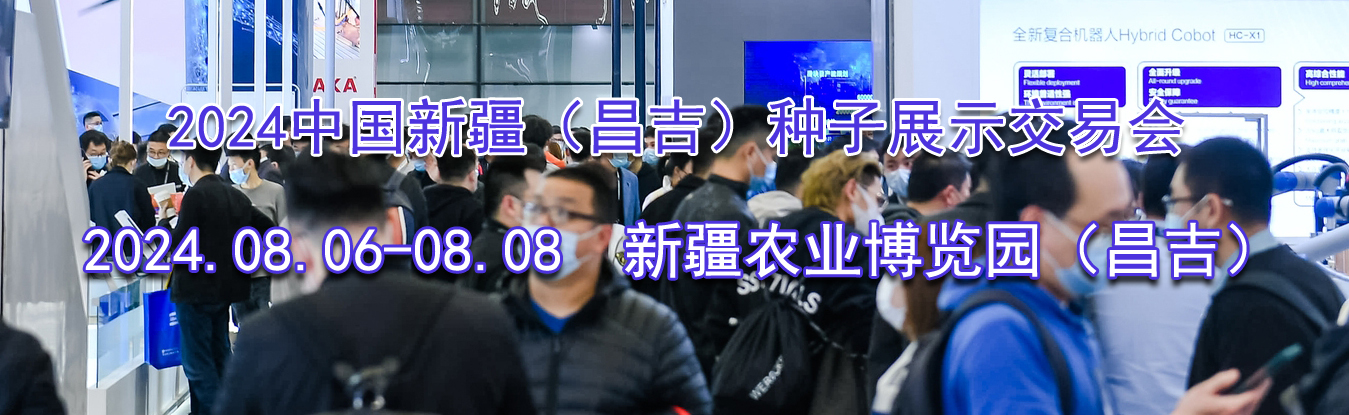 2024�й��½�������������չʾ���׻�