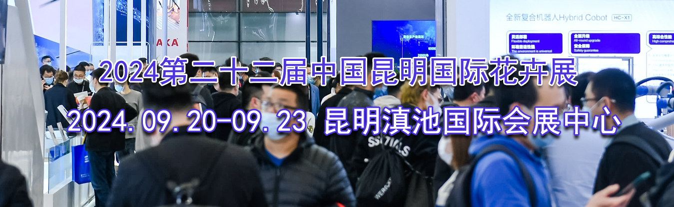 2024�ڶ�ʮ�����й��������ʻ���չ