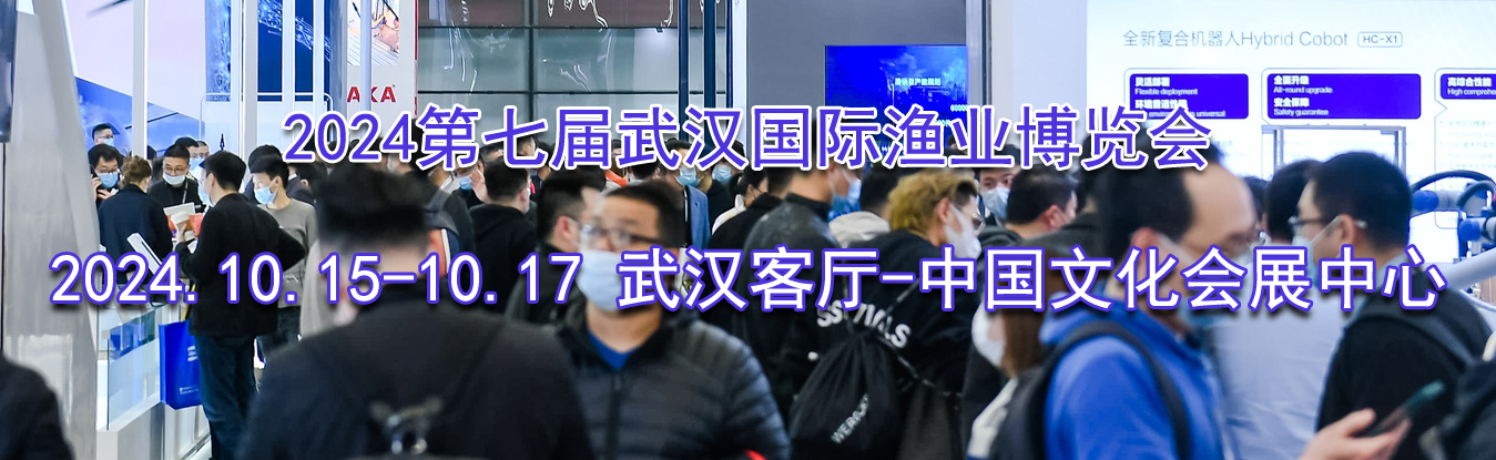 2024���߽��人������ҵ������