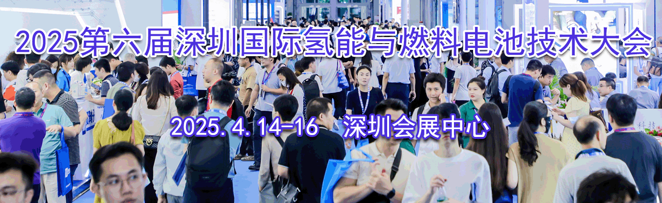 2025���������ڹ���������ȼ�ϵ���������������չ����