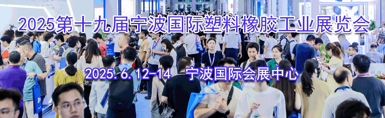 2025��ʮ�Ž��й�(����)���������𽺹�ҵչ����