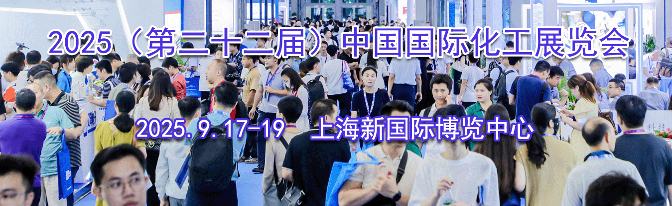 2025���ڶ�ʮ���죩�й����ʻ���չ����