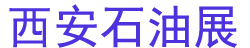 2025ʮʯȻװ