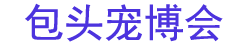 2025ͷﲩ