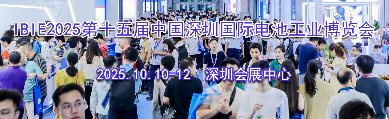 IBIE2025��ʮ����й����ڹ��ʵ�ع�ҵ������