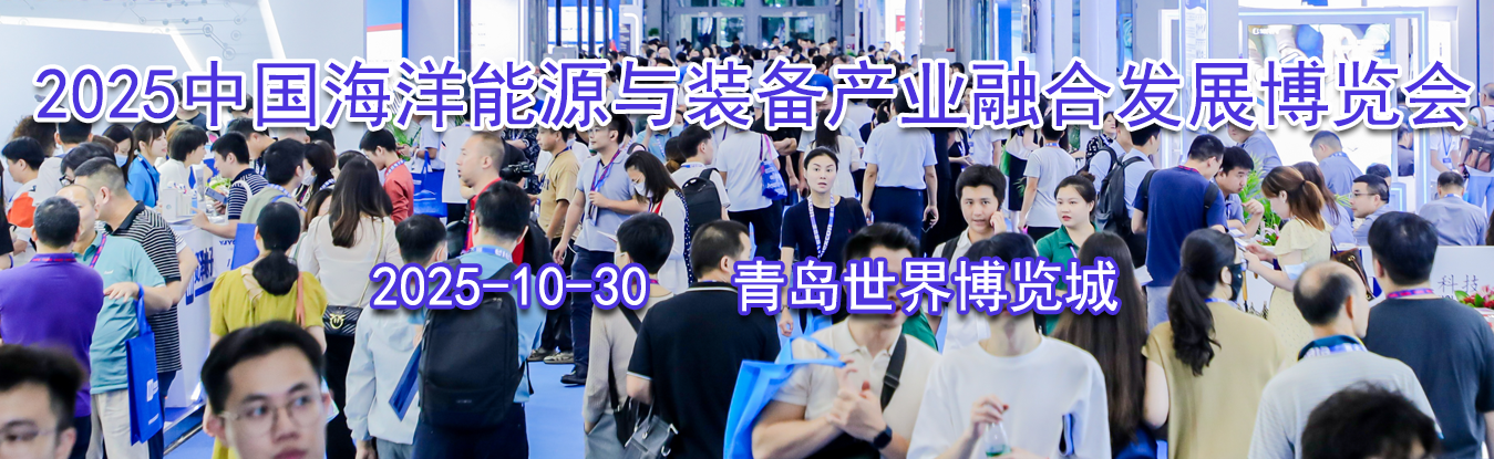 2025�й�������Դ��װ����ҵ�ںϷ�չ������