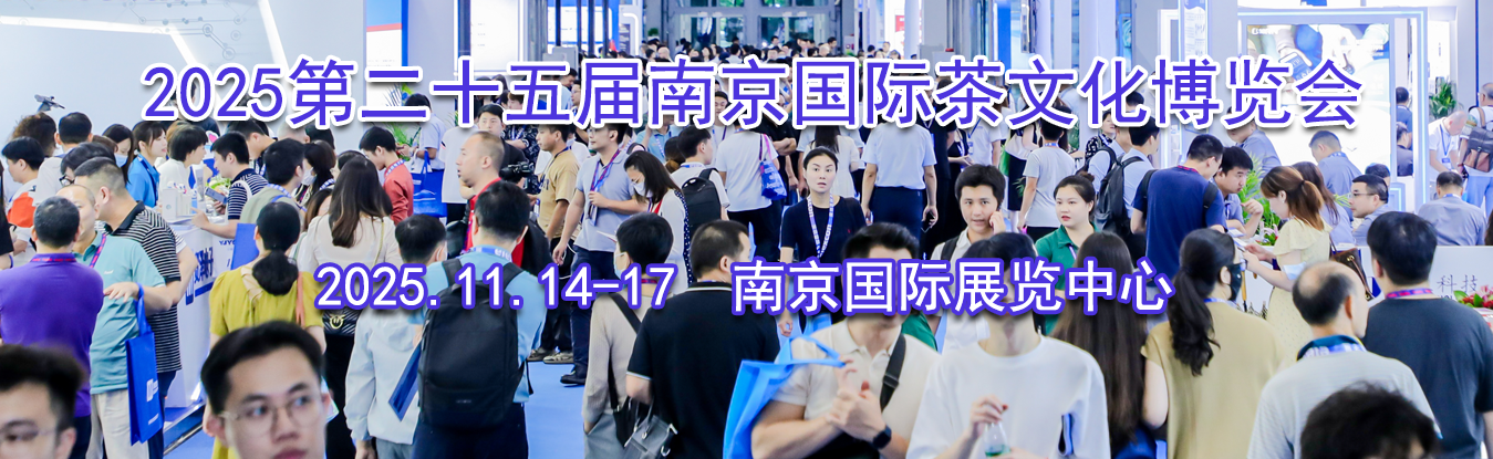 2025�ڶ�ʮ����Ͼ����ʲ��Ļ�������