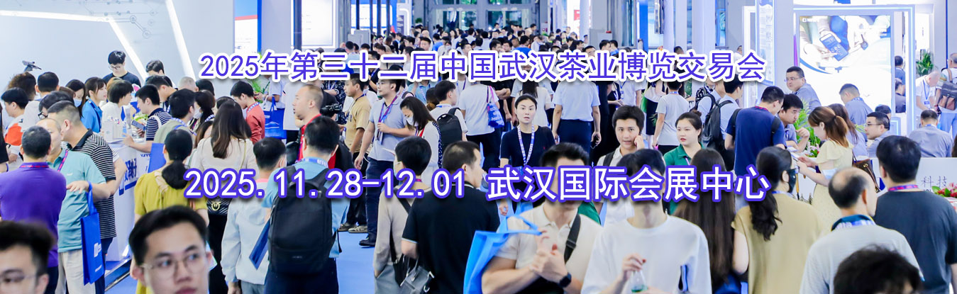 2025�����ʮ�����й��人��ҵ�������׻�