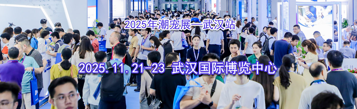 2025�곱��չ���人վ