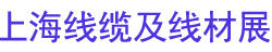 2026��ʮ�����й��Ϻ��������¼��߲�չ����