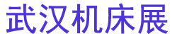 2026��ʮ�Ľ��人���ʻ���չ����