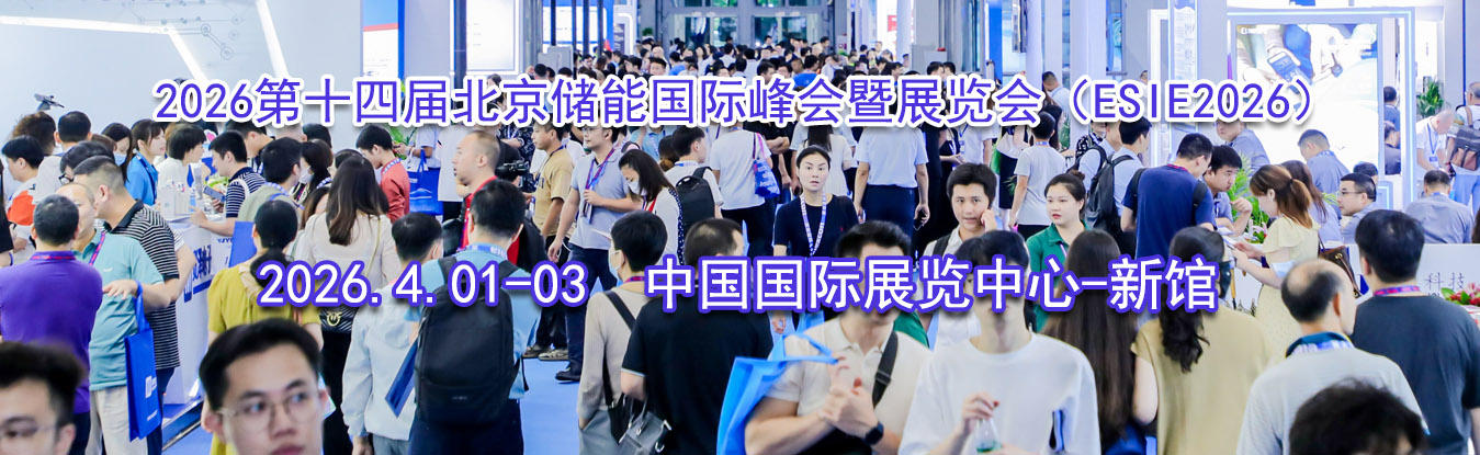 2026��ʮ�Ľ챱�����ܹ��ʷ����չ���ᣨESIE2026��