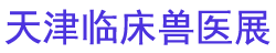 2026��ʮ�˽춫����С�����ٴ���ҽʦ���