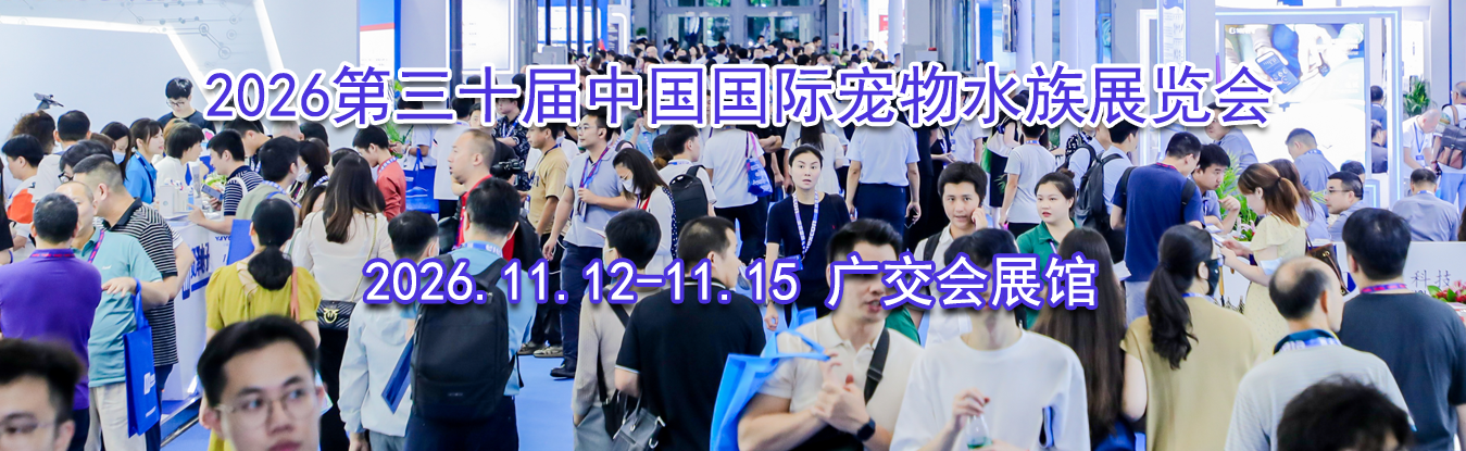 2026����ʮ���й����ʳ���ˮ��չ����