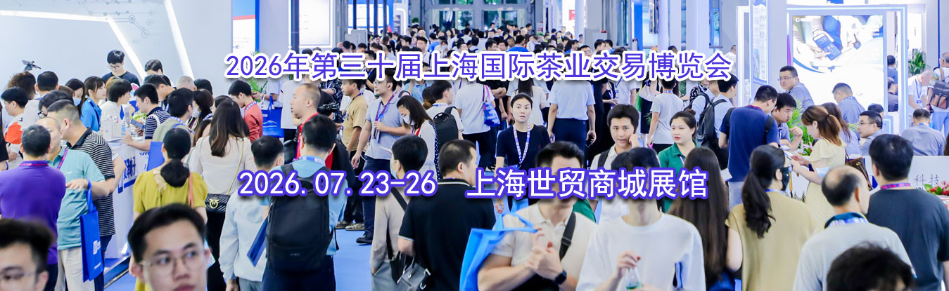 2026�����ʮ���Ϻ����ʲ�ҵ���ײ�����